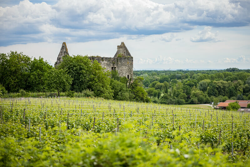 burkheimer schloss | © NGK/Schröder-Esch