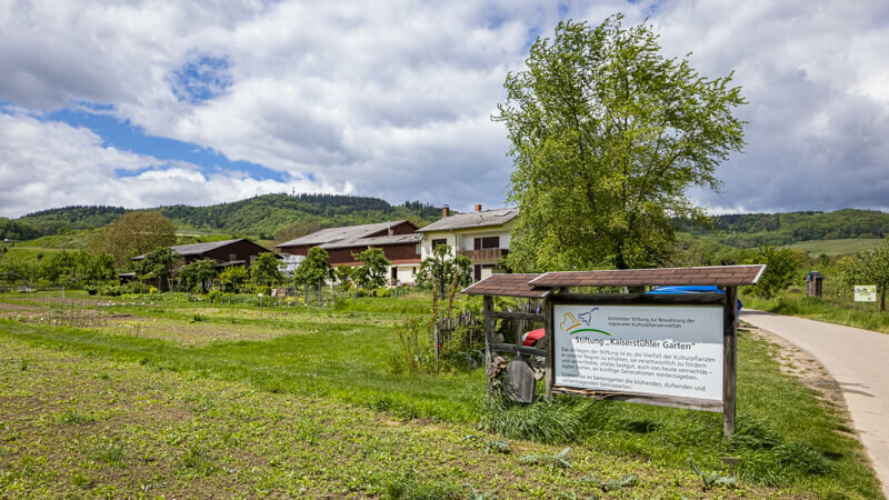 eichstetten samengarten+ | © NGK/Schröder-Esch