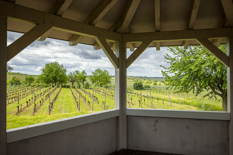 pavillon gottenheim | © NGK/Schröder-Esch